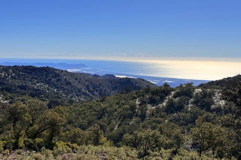 Finca i Tabernas, Almeria, Tabernas - € 2.345.000 | Ref: GVCFSA - foto 31